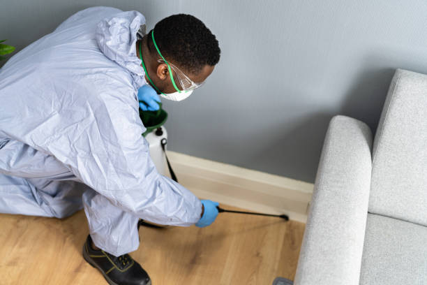 Best Real Estate Pest Inspections  in Two Harbors, MN